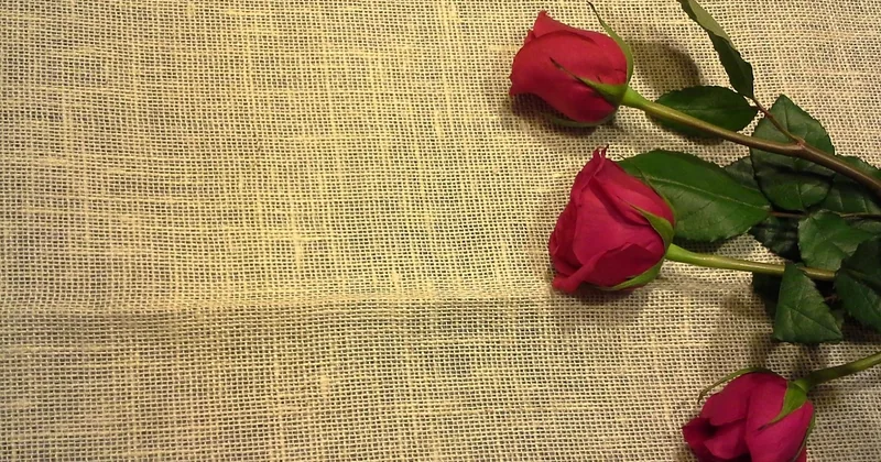 Lin, viscose, satin : quelle matière tient vraiment à 32 °C ?