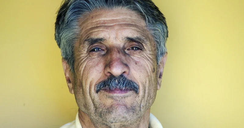 Quel mulet pour quel visage et quel type de cheveux